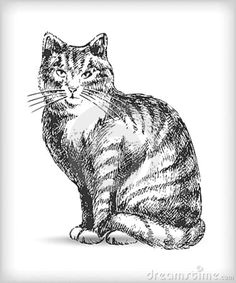 cute cat drawing cat tat tim burton photo chat cute cats tatting pencil coloring pages graphic design