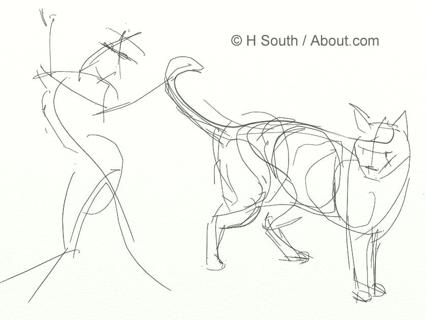 sketching cats