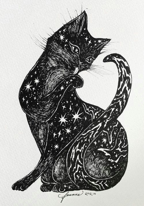 galaxy cat black cats black cat