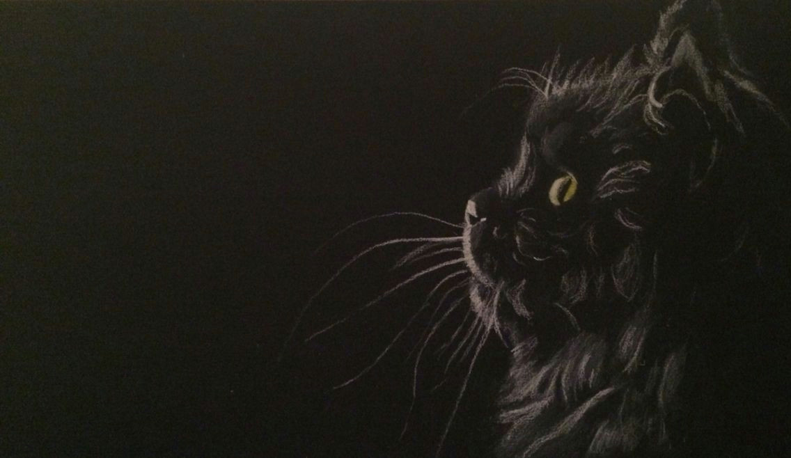 cat chalk and yellow pastel on black paper