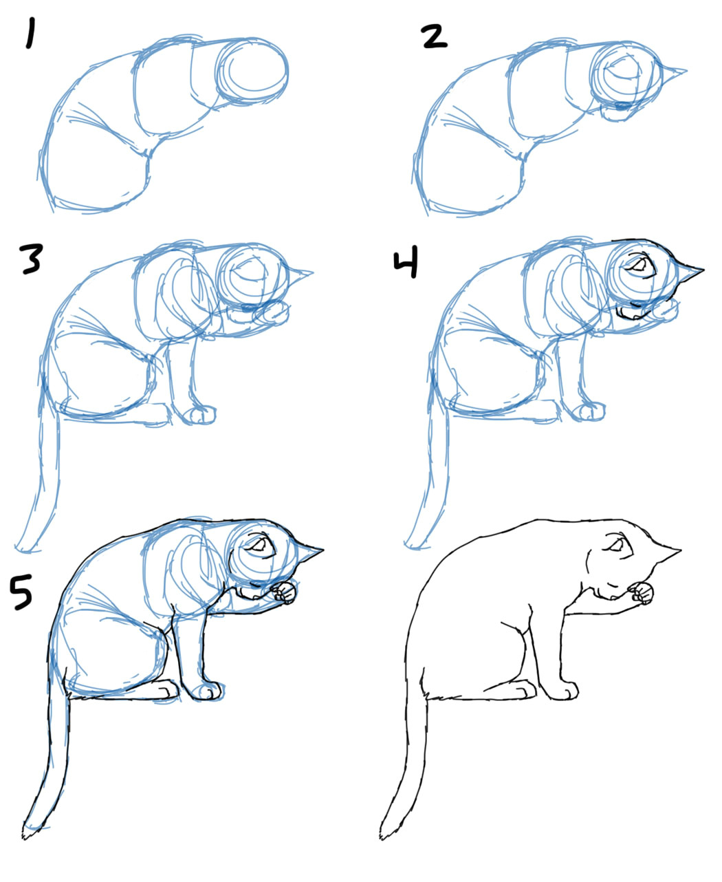 how to draw a cat 205 jpg