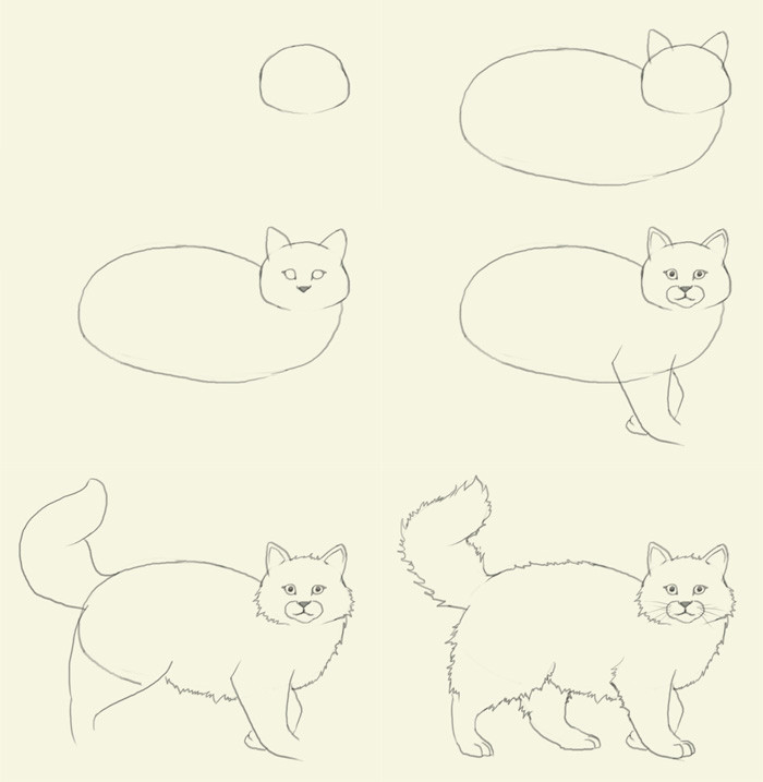 how to draw a cat 2021 jpg