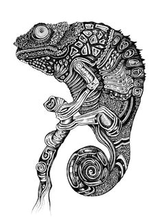 buy chameleon by ejaculesc as a high quality framed art print worldwide shipping available at