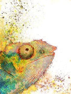 chameleon watercolor karma chameleon chameleon lizard veiled chameleon reptiles lizards