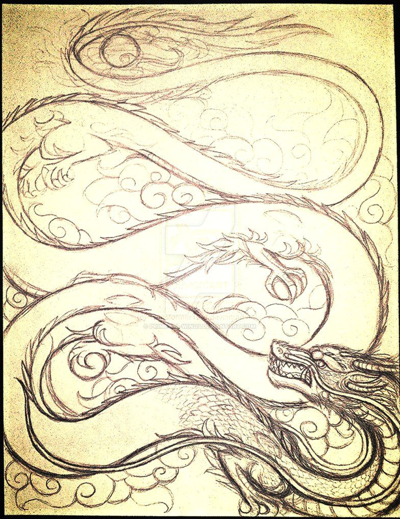 chinese dragon sketch by primeval wings