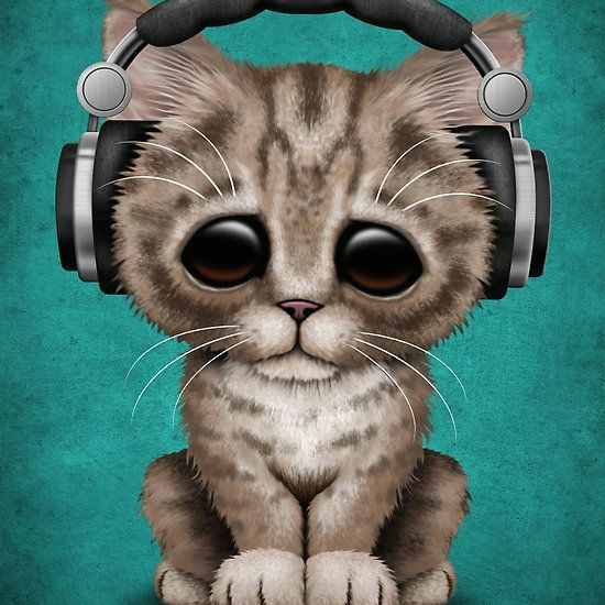 cute kitten dj wearing headphones on blue jeff bartels