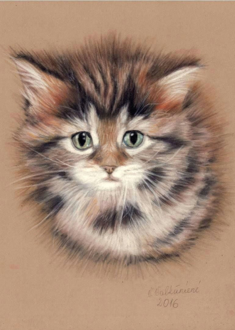 saatchi art artist vanda valkuniene drawing cute kitten art kittencare