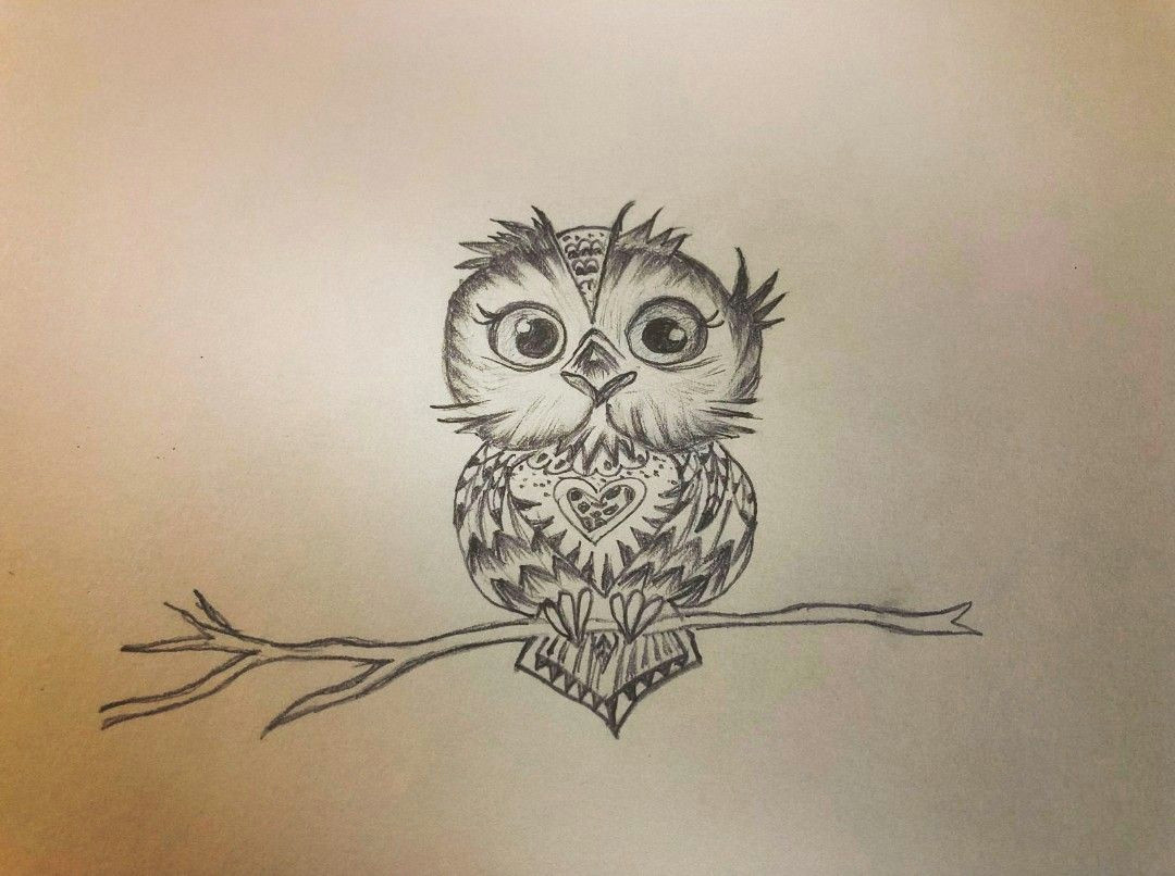 cute owl sketches drawings sketch sketching