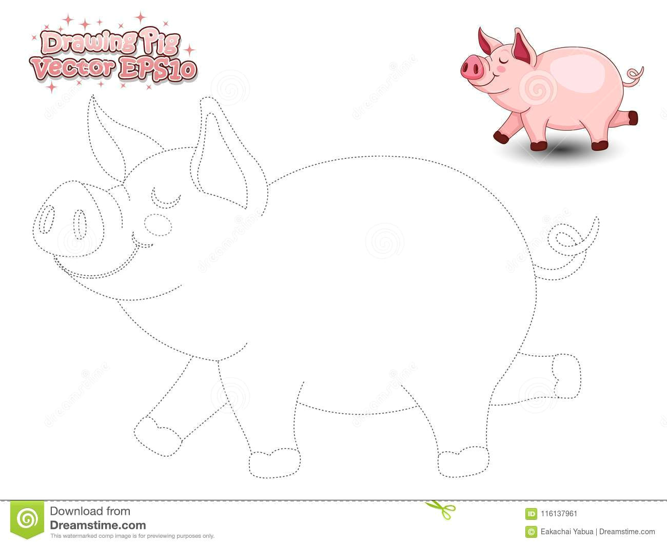 drawing the cute cartoon pig and color educational game for kid