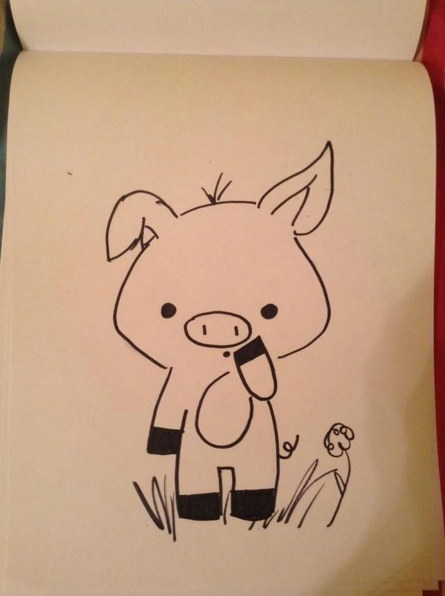 pig sketch drawing sketches pig drawing