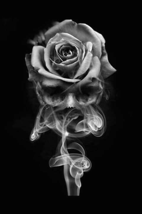 smoke skull rose