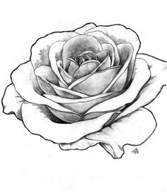 Drawing A Detailed Rose Image Result for Detailed Flower Outline Art Tattoos Drawings