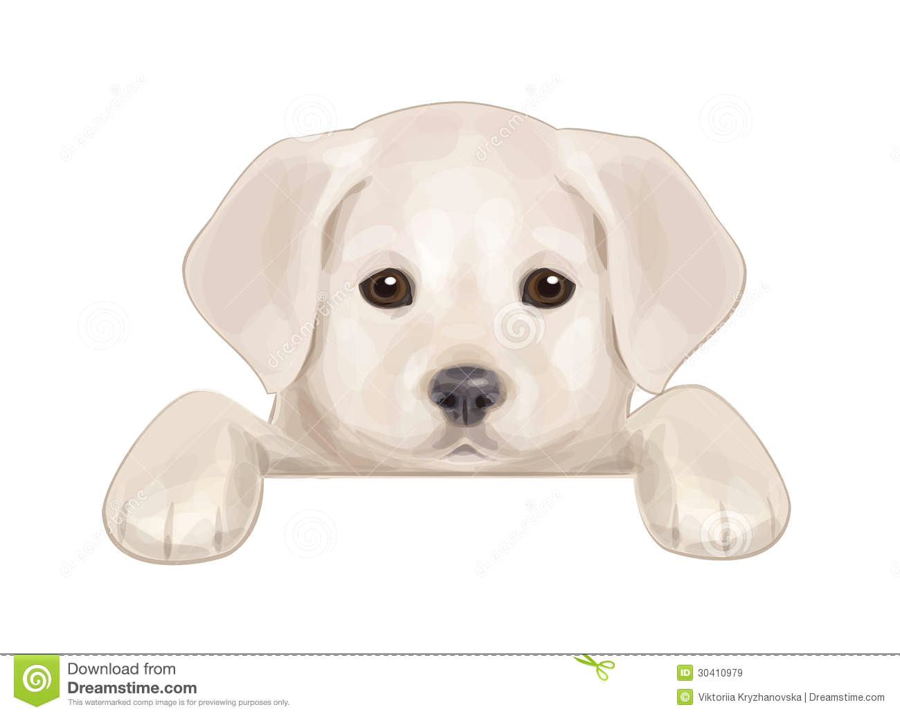 vector of cute puppy hiding by blank