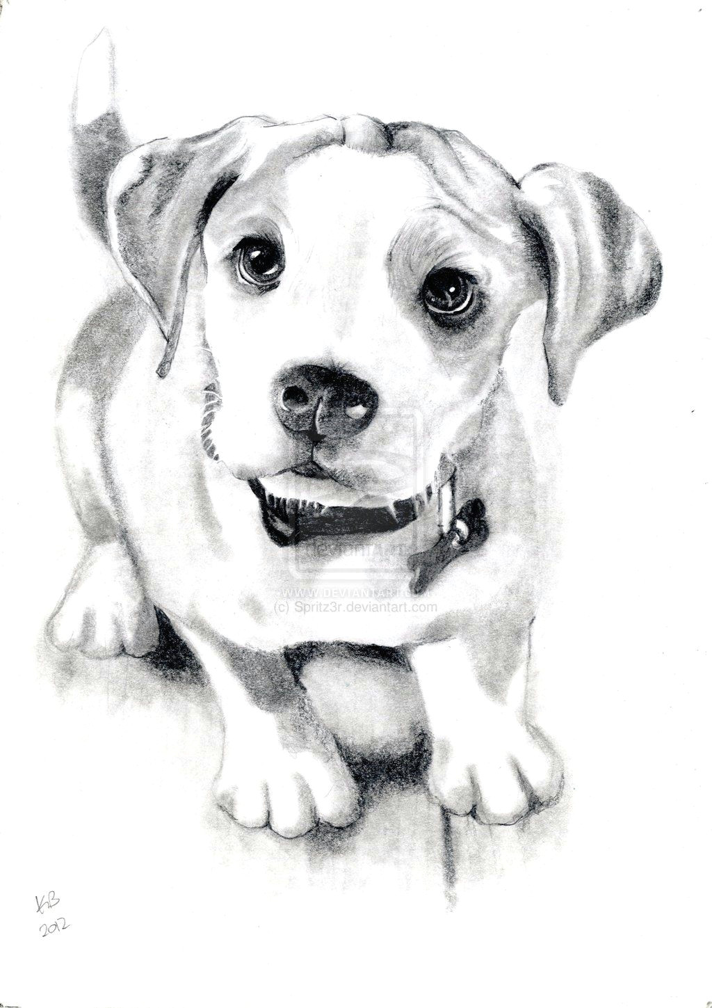dog sketch by spritz3r deviantart com on deviantart