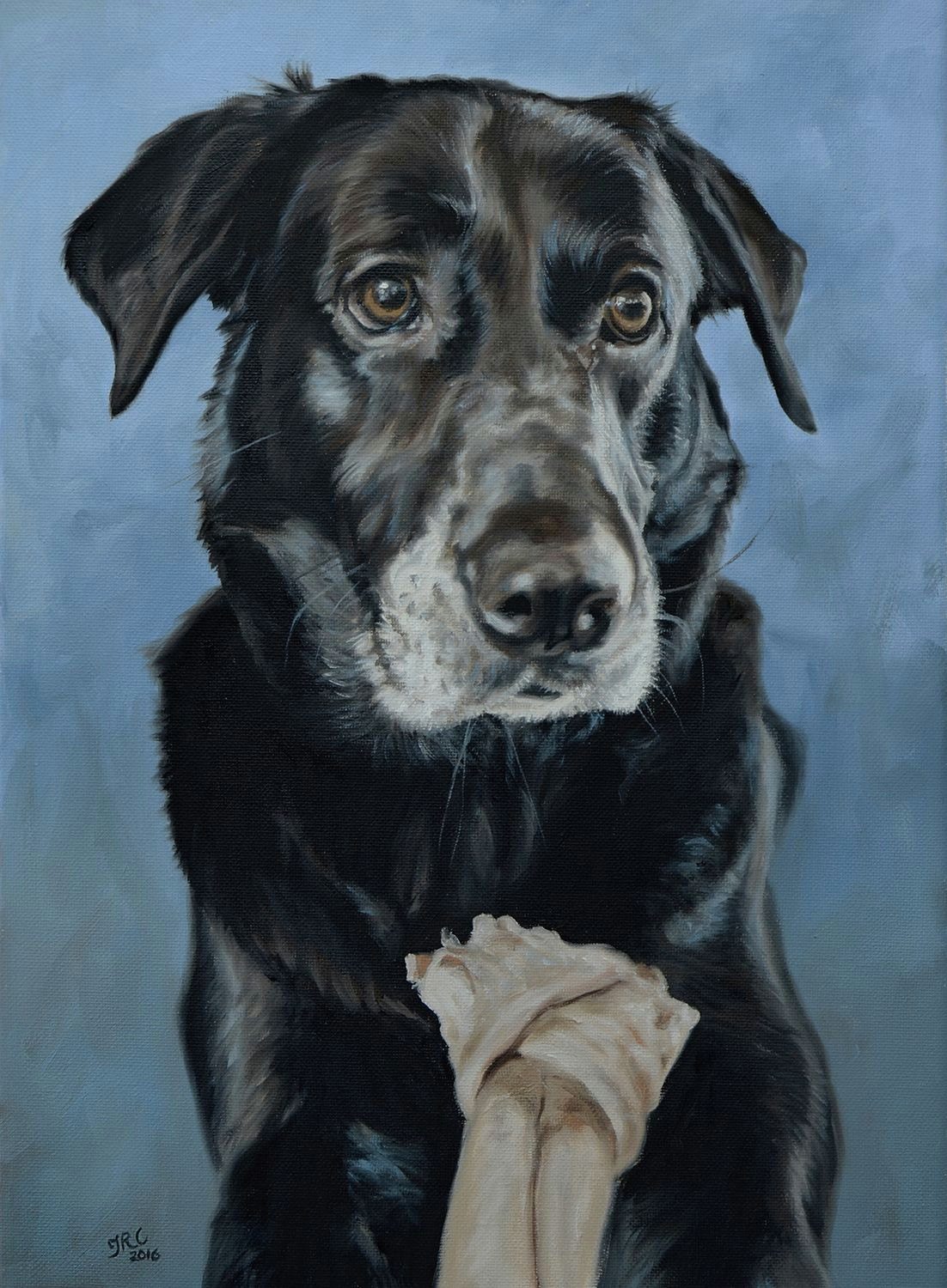 dog portrait painting of doc 12x16ins dogs cute pet portrait