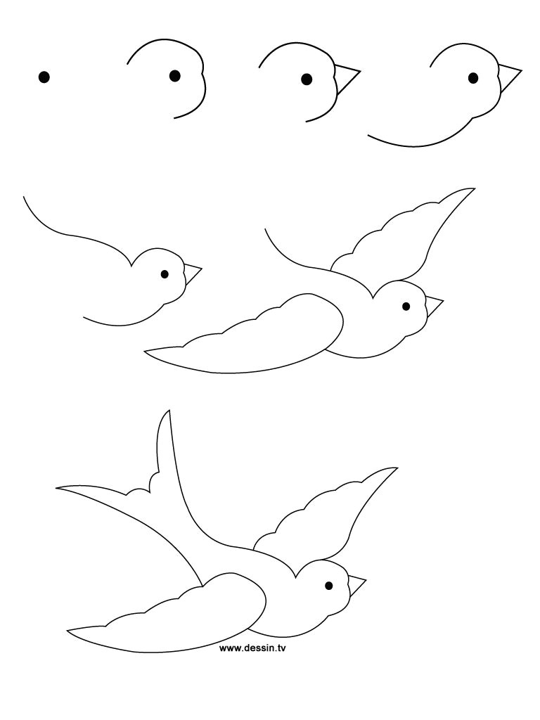 how to draw a bird step by step easy