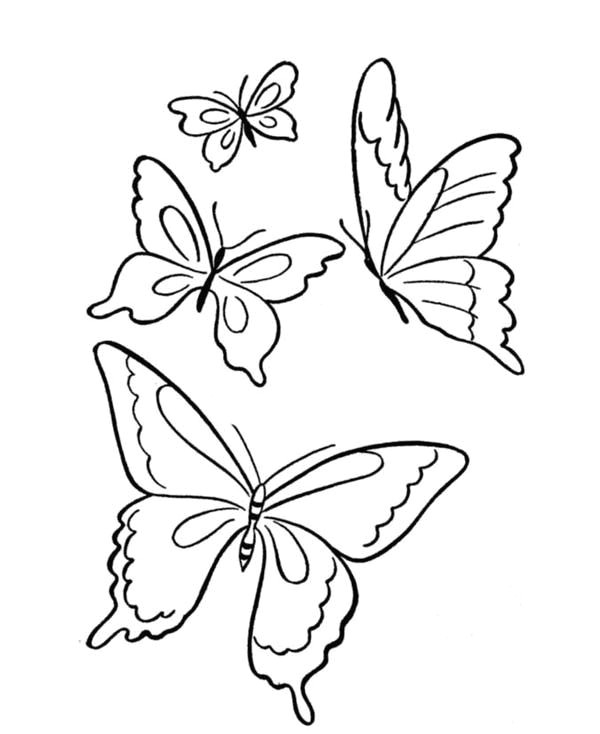 600x734 butterfly four butterflies flying on the park coloring page