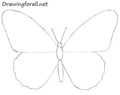 how to draw a butterfly with a pincil