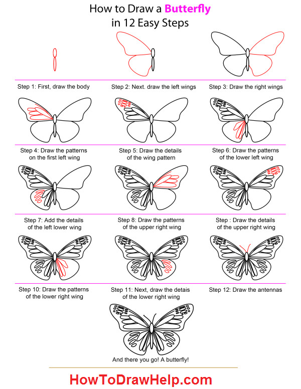 easy to draw butterflies butterfly drawing easy methods how to draw butterflies step by design