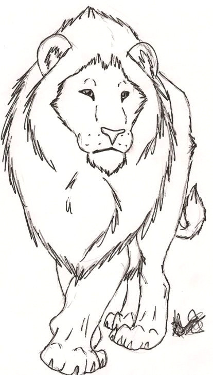 really wanting a lion tattoo with the word strength around it lion sketch