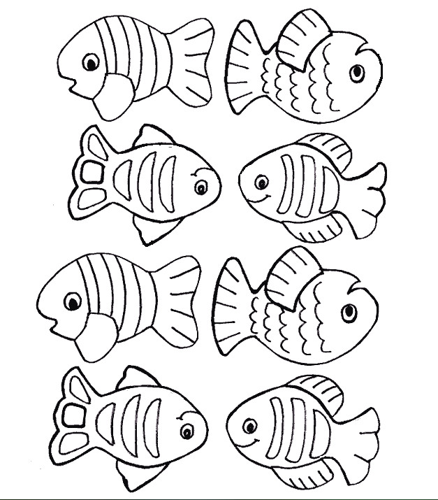 fish coloring and or sorting