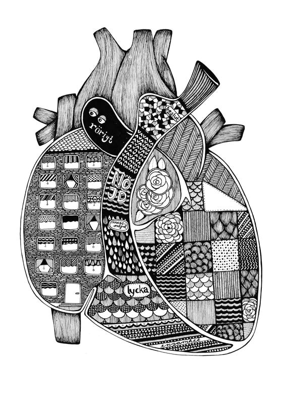 anatomical heart illustration by tovelisa