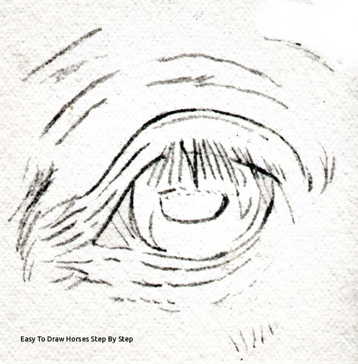 Drawing A Horse Eye Easy to Draw Horses Step by Step Draw Horse Eyes Step by Step