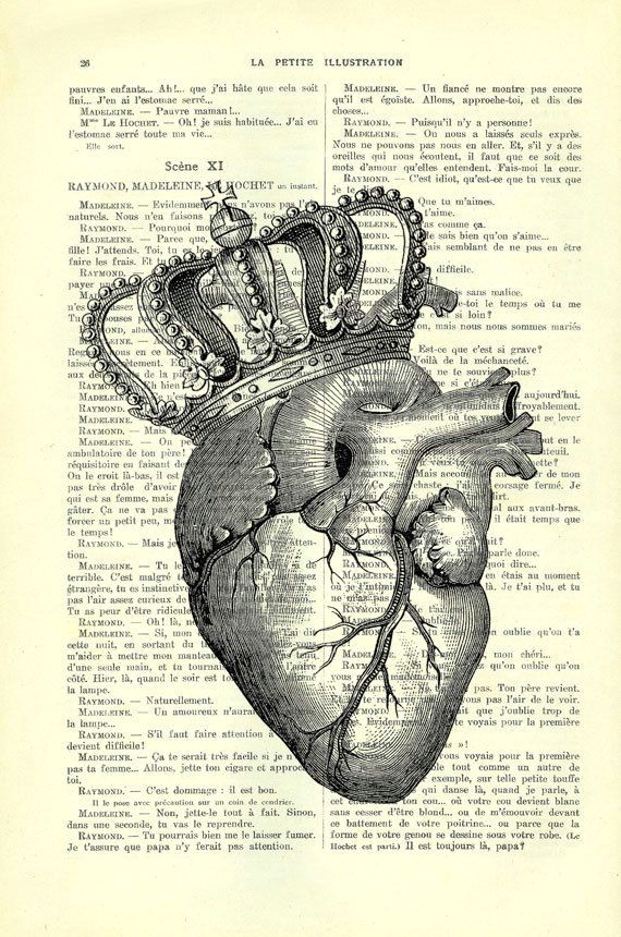 anatomical heart with crown art print king of by madamememento