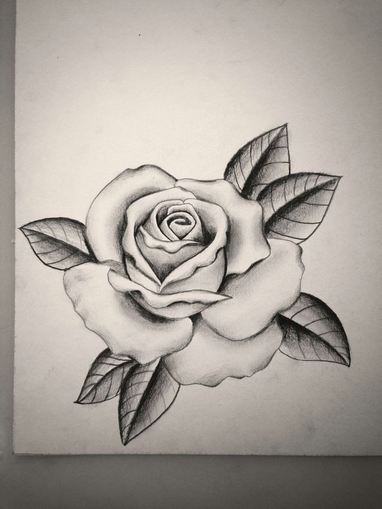 like this rose too
