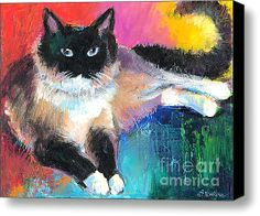 cat canvas art colorful ragdoll cat painting stretched canvas print canvas art by