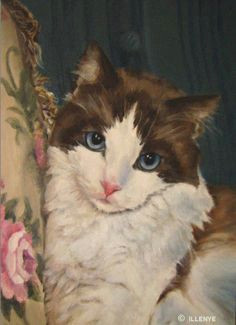 exquisite ragdoll cat on teal moire sofa with floral tapestry pillow oil painting by artist jeanne illenye on dailypainters com