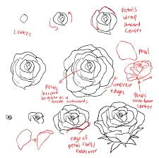 learn how to draw a rose for the special valentine easy step by step instructions for kids watch the video and download the free pintable