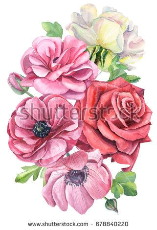 greeting card a bouquet of pink anemones white and red rose hand drawing watercolor love in 2018 pinterest hand drawings watercolor and drawings
