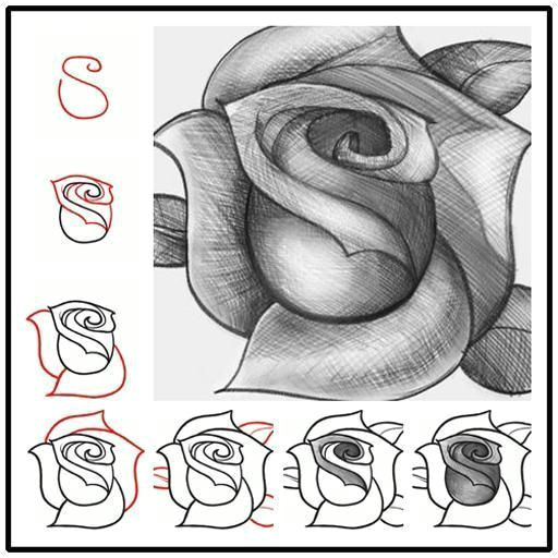 how to draw a rose tutorial quick easy step by step can learn how to draw a rose for beginner tutorials with free tutorials pen pencil photoshop