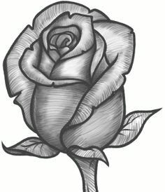 how to draw a rose bud rose bud step by step flowers