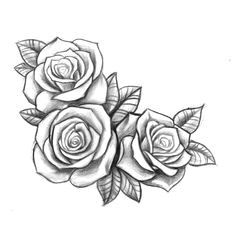 resultado de imagen para three black and grey roses drawing tattoo