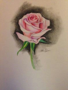 Drawing A Rose Time Lapse 108 Best Rose Drawings Images Flowers Ink Cool Tattoos