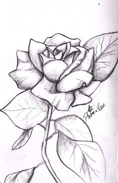 rose drawings in pencil simple rose from my sketchbook enjoy 3 easy drawings