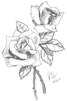 rose drawings in pencil roses shaded by ashton18 flower drawing in pencil drawing