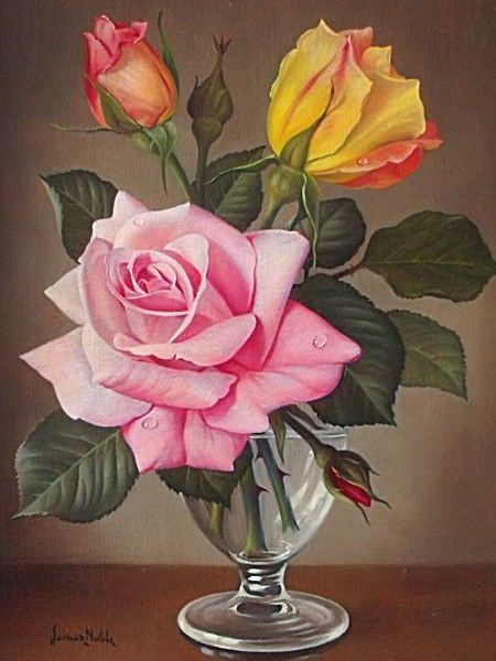 still life roses by james noble