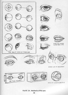 character design collection eyes anatomy anatomy reference anatomy study eye anatomy anatomy