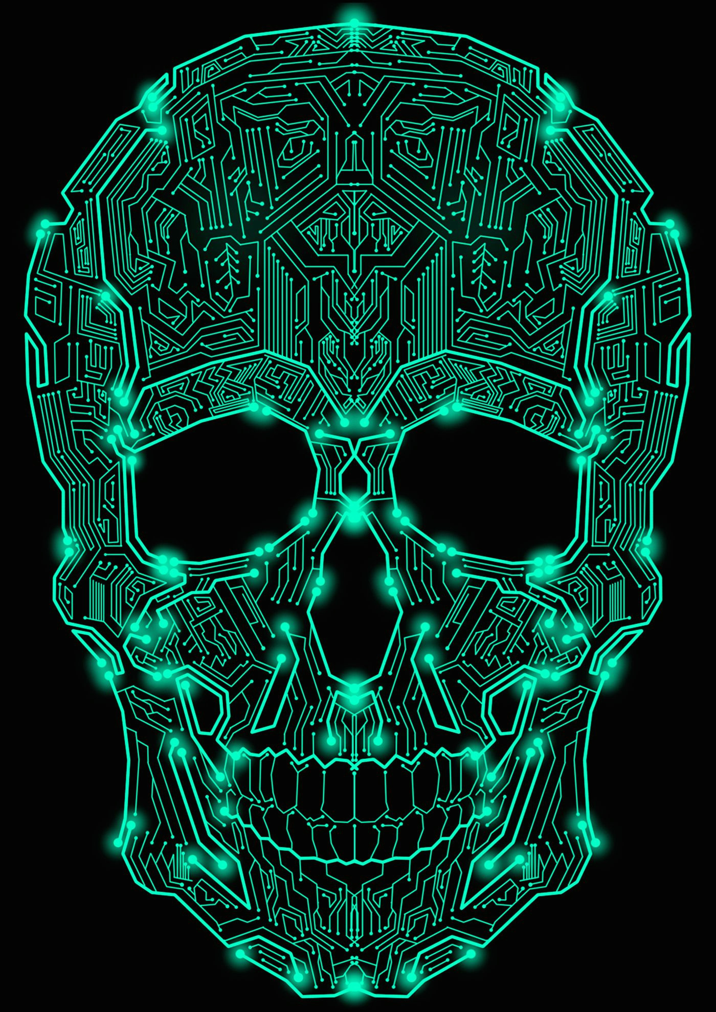 circuit skull