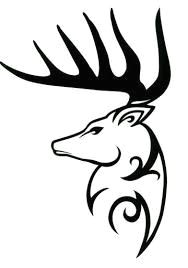 image result for deer skull drawing easy