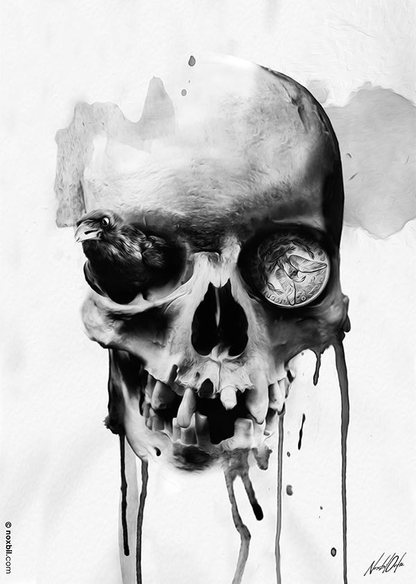 skull illustration graffiti photography flower skull skull and bones skull art cool