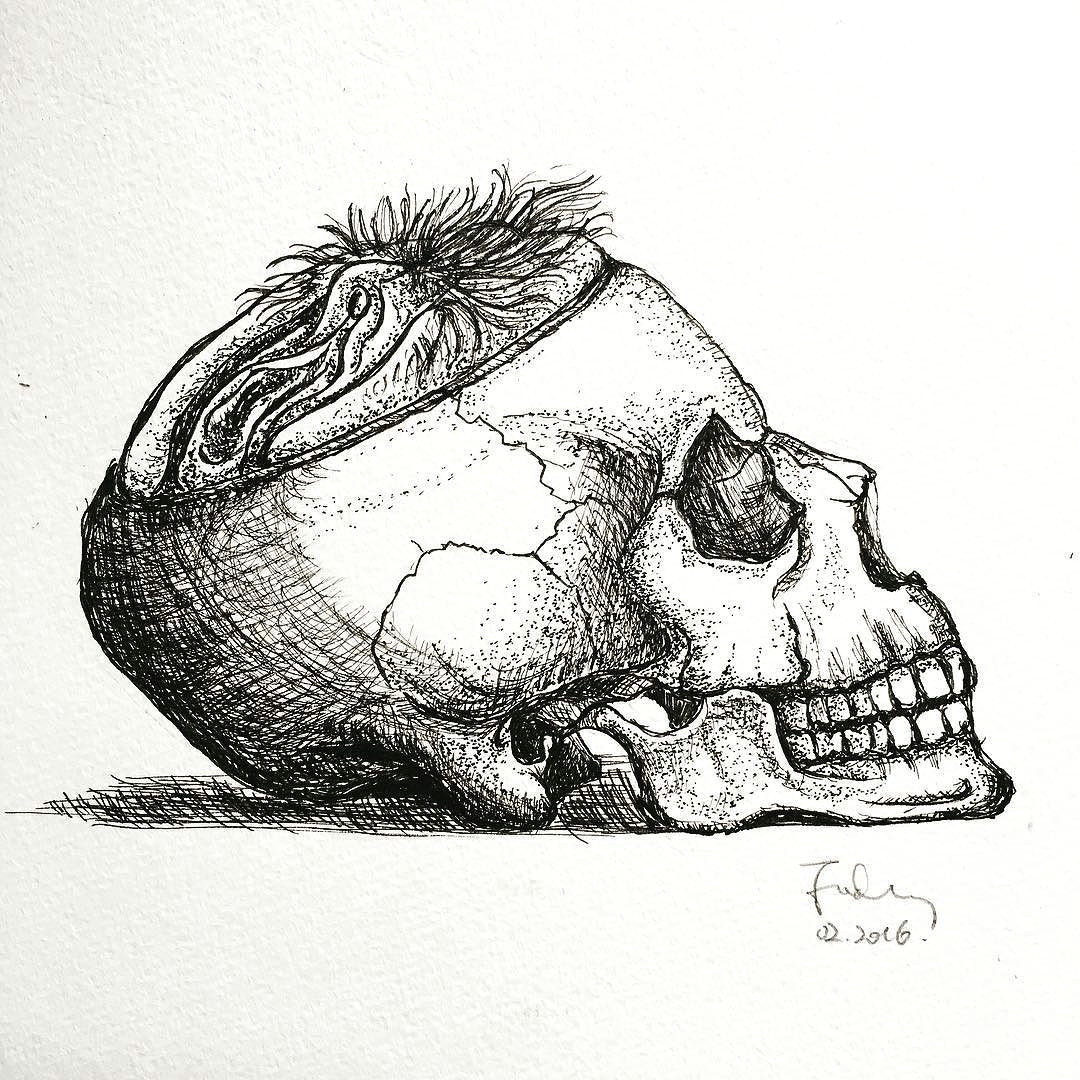 illustrator illustration idea talentedpeopleinc pen bw bnw blacknwhite draw sketch skull skulltattoo pussy proartists pigment by foxwong