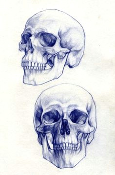 1000drawings pencil drawings skull drawings skull sketch tattoo drawings koi fish drawing