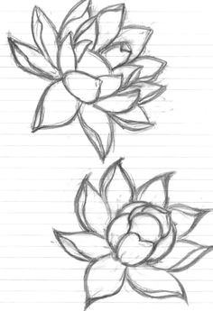 flowers flower drawing art doodle by grounded1 lotus drawing