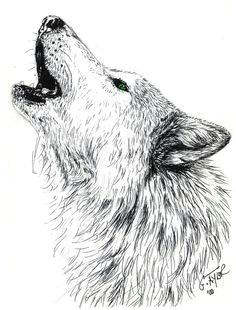 howling wolf by gayle taylor on artwanted wolf head drawing wolf howling drawing howling