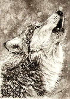 beautiful animal drawings google search bild tattoos wolf howling drawing wolf head drawing