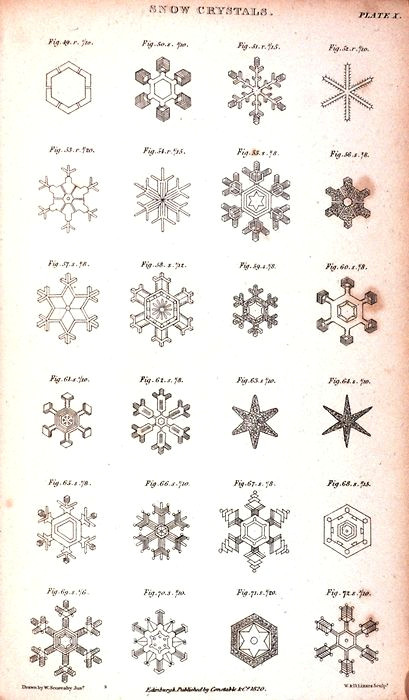beautiful snowflakes
